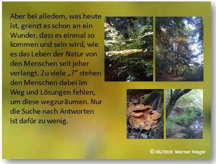 Fotos mit Text 513.jpg